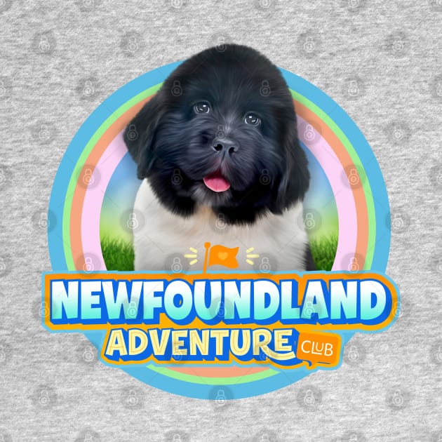 Newfoundland puppy by Puppy & cute